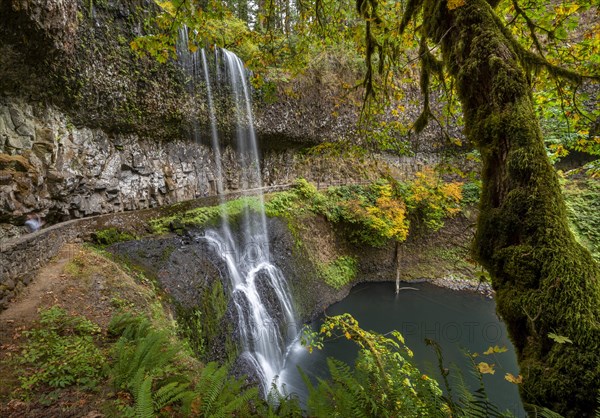 Waterfall