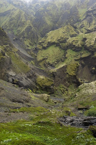 View into rugged moss-covered canyon with tufa rock formations