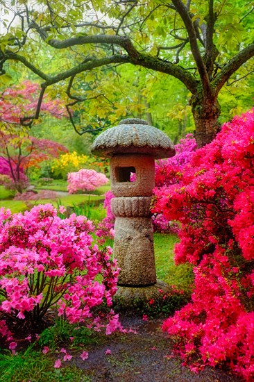 Stone lantern in Japanese garden with blooming flowers