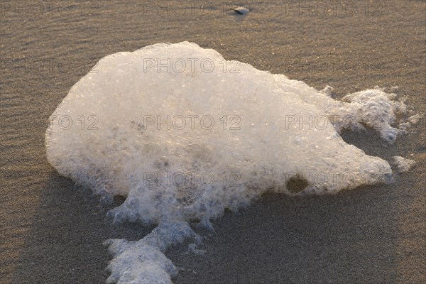 Schaum am Strand