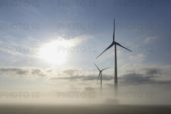 Windkraftwerke im Nebel bei Sonnenschein