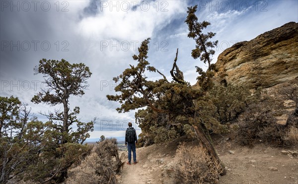 Young man on hiking trail