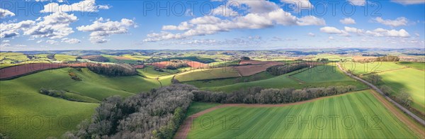 Panorama over Fields and Meadows over English Village