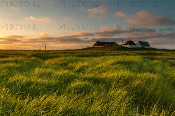 Sunset at the Hamburger Hallig