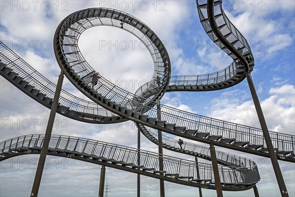 Tiger and Turtle