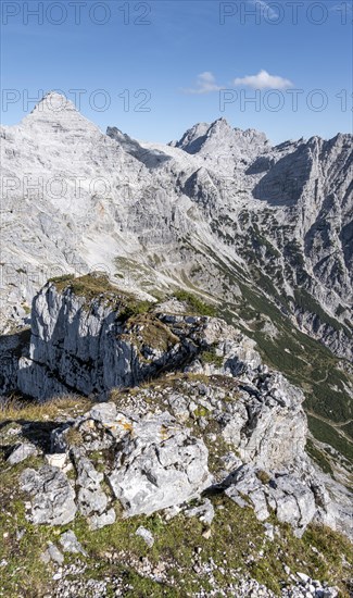 Peak Seehorn