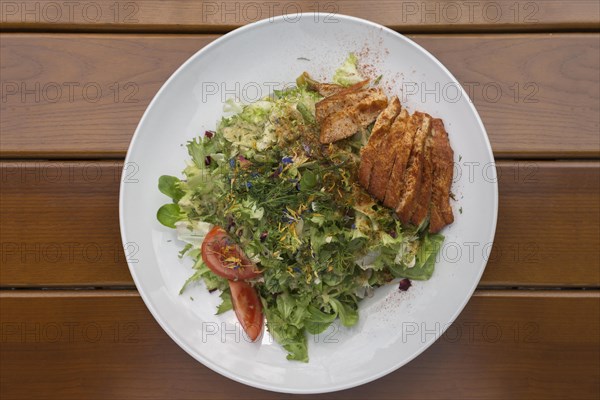 Mixed salad with roasted turkey strips served in a garden restaurant