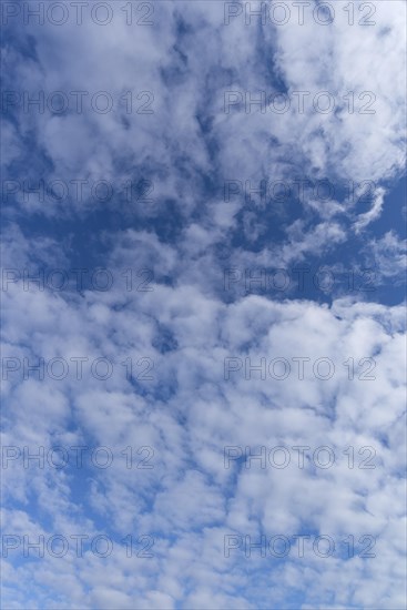 Stratocumulus clouds