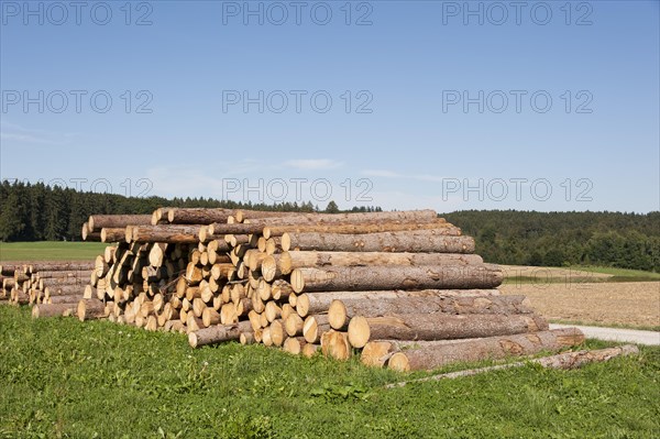 Logging