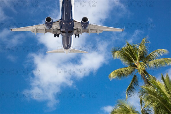 Bottom view of passenger airplane flying over tropical palm trees