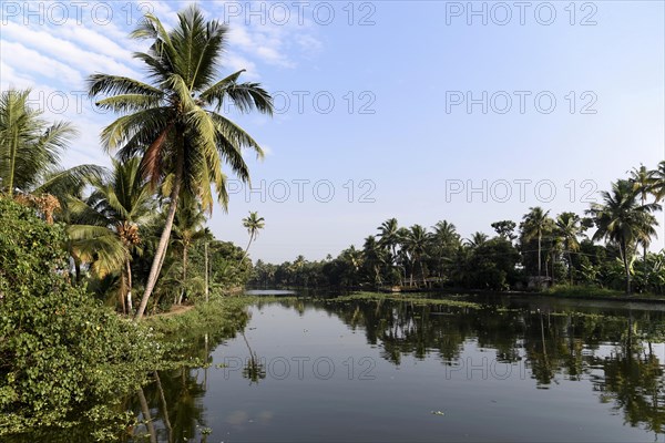 Backwaters