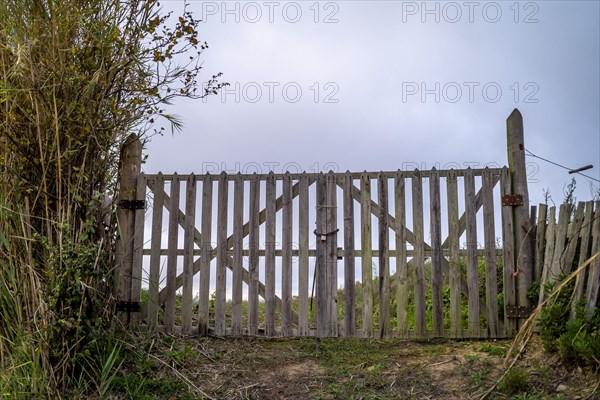 Wooden gate with a padlock leading to the field