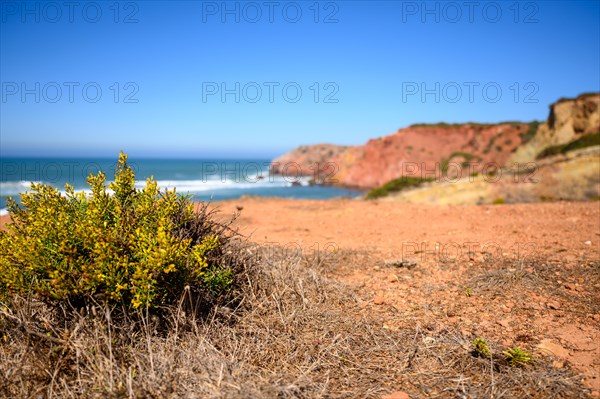 Portugal hat an der Algarve viele Steilkuesten mit hohen Wellen des Atlantik. Auf dem trockenen kargen Boden wachsen vereinzelte Buesche. Der blaue Himmel mit der weissen Gischt ist ein guter Kontrast zu den roetlichen Felsen