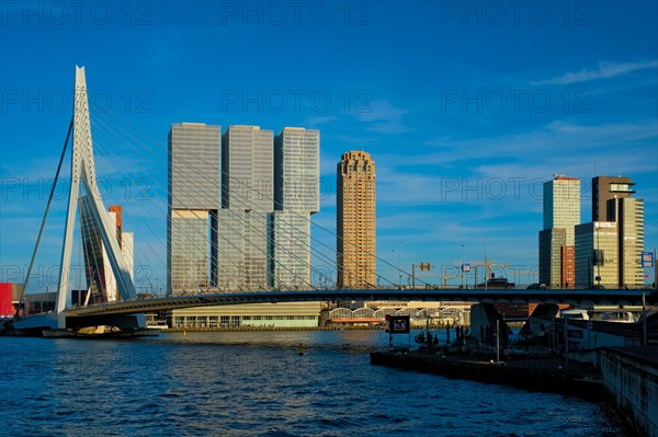 View of Rotterdam skyscrapers skyline and Erasmusbrug bridge view over of Nieuwe Maas river. Rotterdam