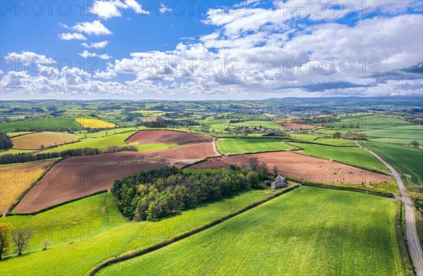 Fields and Meadows over Berry Pomeroy