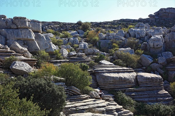 Bizarre rock formations in El Torca National Park