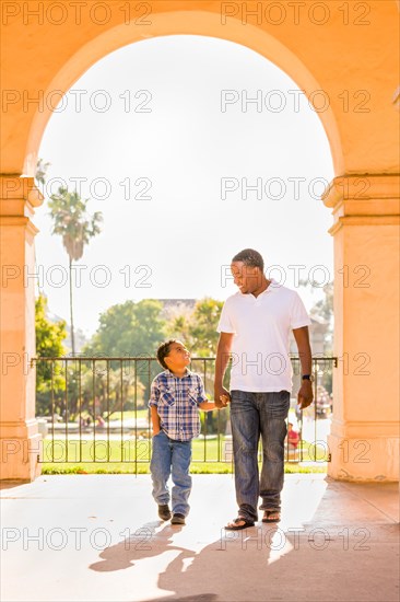 Happy african american father and mixed-race son walking at the park