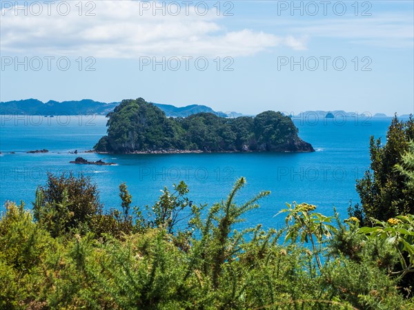 Coast at Cathedral Cove Walk