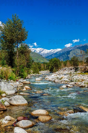 Beas River near Manali in Kullu Valley