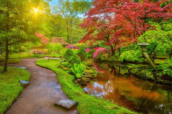 Little Japanese garden after rain