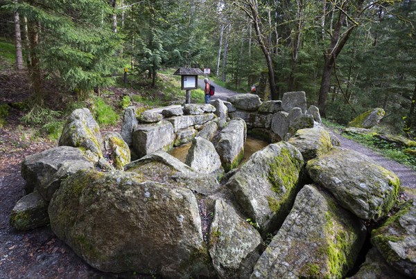 Hikers at the Kneipp treading pool on the Moorwald adventure trail