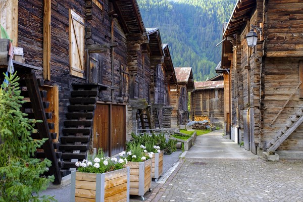 Typical Valais village