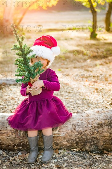 Cute mixed-race young baby girl having fun with santa hat and christmas tree outdoors on log