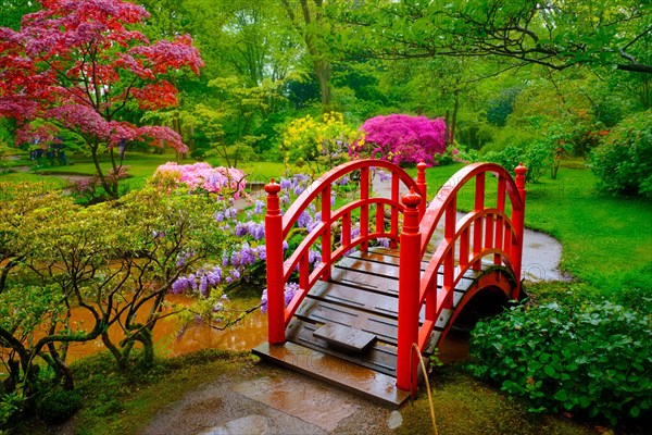 Small bridge in Japanese garden