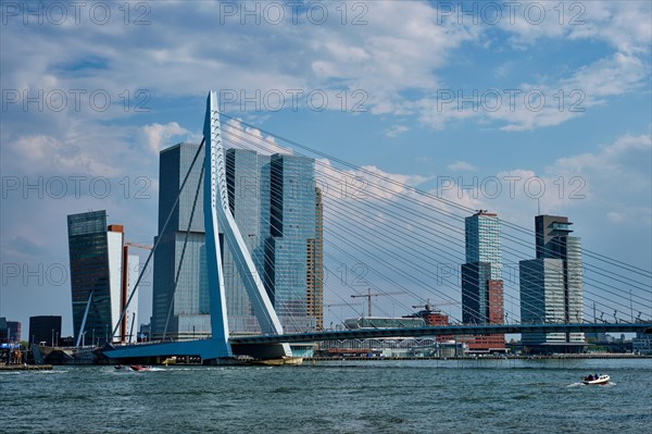 View of Rotterdam cityscape with Erasmusbrug bridge over Nieuwe Maas and modern architecture skyscrapers. Rotterdam