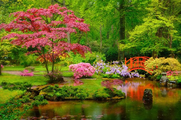 Small bridge in Japanese garden