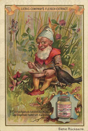 Series of the gnome uses Liebig meat extract