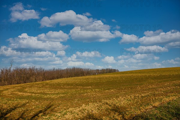 Am Uebergang eines Feldes zu einem benachbarten Wald ist ein Hochsitz eines Jaegers zu erkennen. Die aufgelockerten Wolken lassen die Sonne auf den ausgetrockneten Boden scheinen