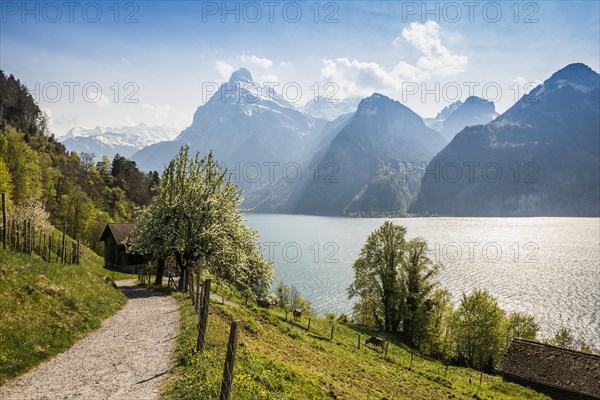 Panorama with lake and mountains