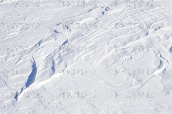 Snowdrift