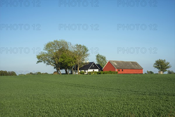 Small farm at Ystad