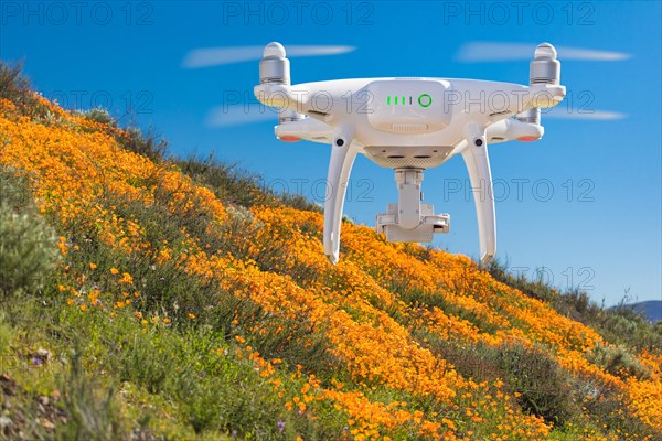 Drone flying above seasonal california poppies bloom landscape