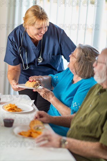 Female doctor or nurse serving senior adult couple sandwiches at table