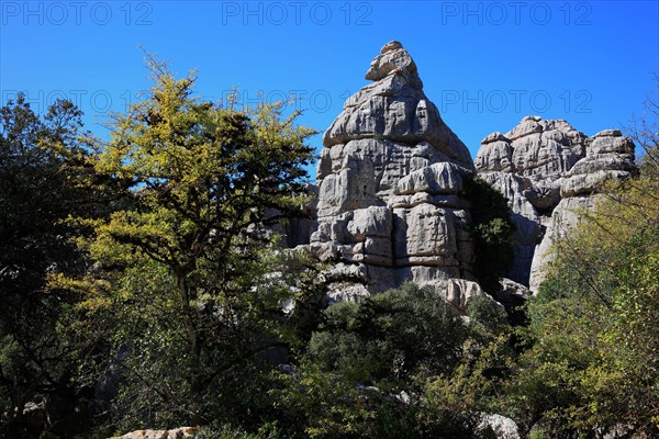 Bizarre rock formations in El Torca National Park