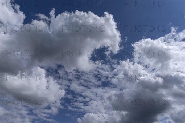 Stratocumulus clouds