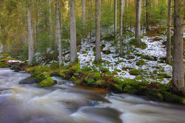 Stream in winter