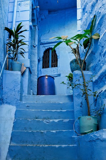 Blue houses in streets of of Jodhpur