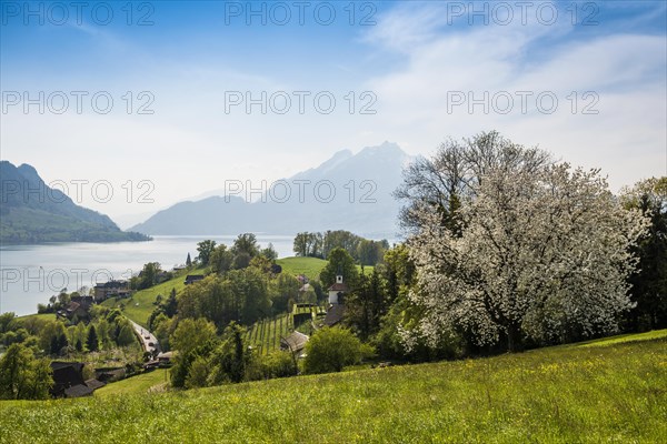 Panorama with lake and mountains