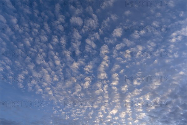 Small fleecy clouds
