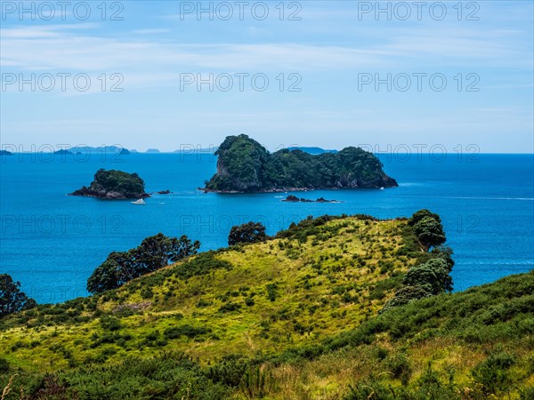 Wooded rock formations in the sea in front of Cathedral Cove Walk