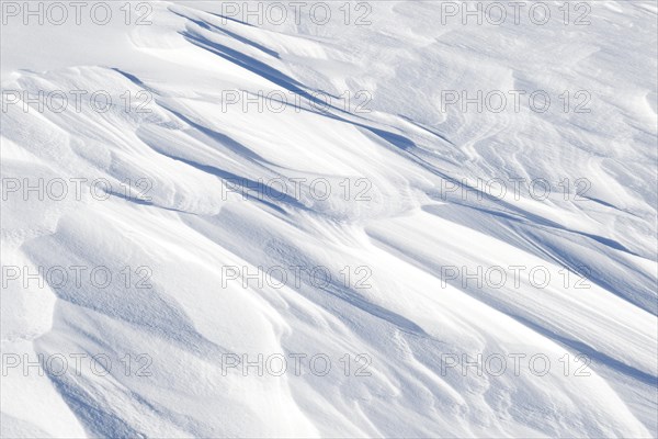 Snowdrift