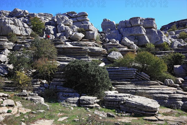 Bizarre rock formations in El Torca National Park