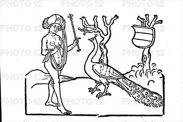 The Fable of the Woman and the Peacock. From the book and life of the highly famous fabulist Aesopi