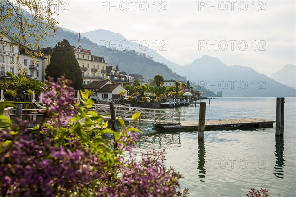 Hotels and houses on the lake