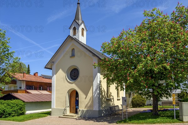 Lourdes Chapel from 1895 and red flowering horse-chestnut