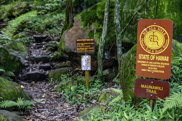 Maunawili Trail